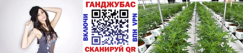 Магазины продажи наркотиков Назрань Метамфетамин Меф Канабис COCAIN СОЛЬ Псилоцибиновые грибы