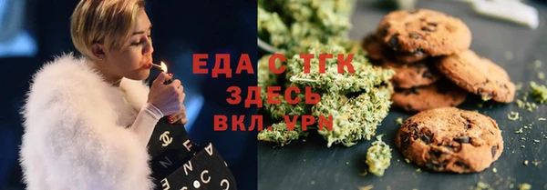 гидра Горнозаводск
