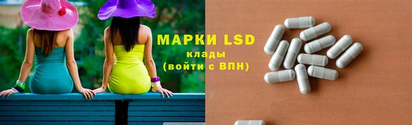 гидра Горнозаводск
