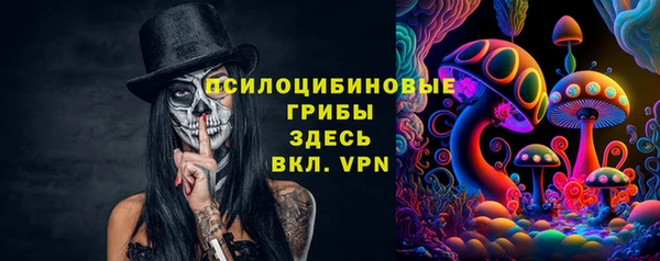 гидра Горнозаводск