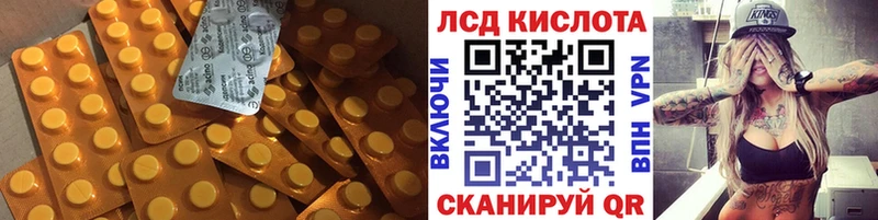 где найти   Назрань  ЛСД экстази кислота 
