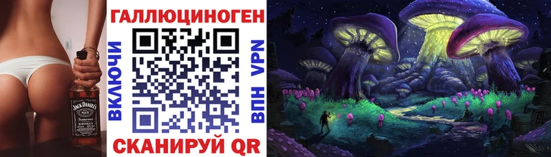 hydra вход Назрань Галлюциногенные грибы Cubensis